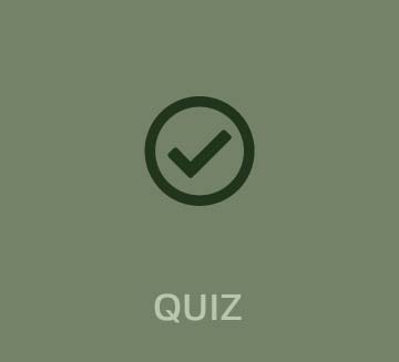 Quiz