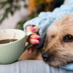 Os pets cães e gatos influenciam tutores na compra de imóveis